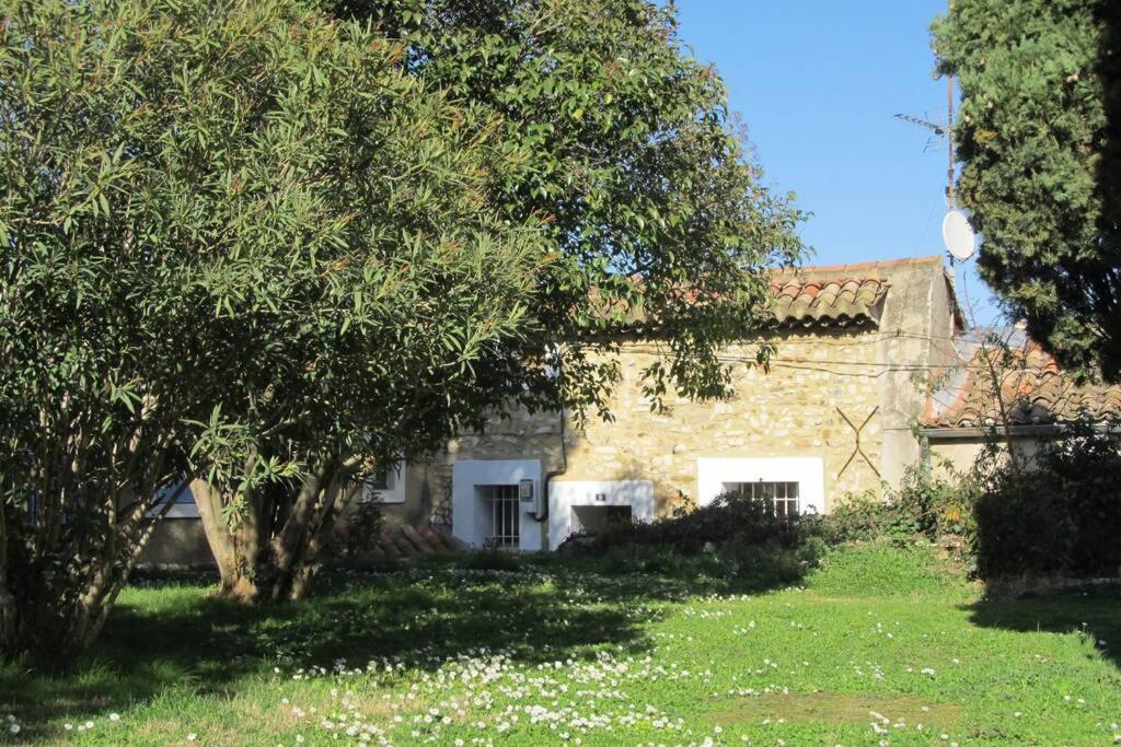 Gite De L'Eglise Sablet Exterior photo